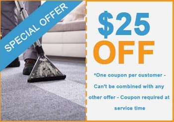 carpet Cleaning the woodlands offers