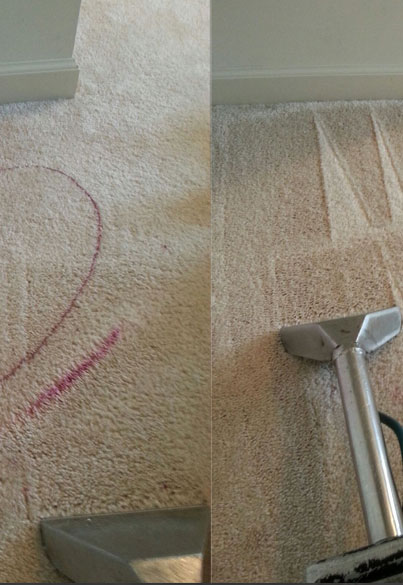 professional cleaning carpet stains