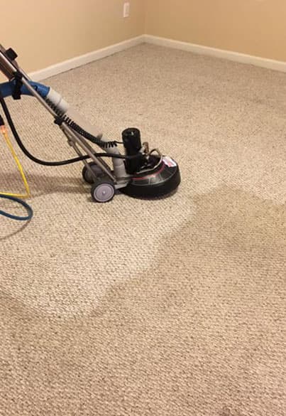 professional cleaning Service